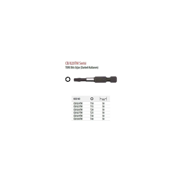 1/4" TORX BİTS UÇ/DARBELİ KULLANIM-T25X50 MM - Resim 2