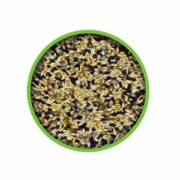 Vivid Bird Doğal Kanarya Yemi 400 Gr - Resim 2