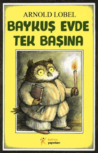 Baykuş Evde Tek Başına ürün görseli 1