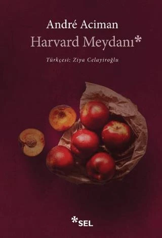 Harvard Meydanı ürün görseli 1