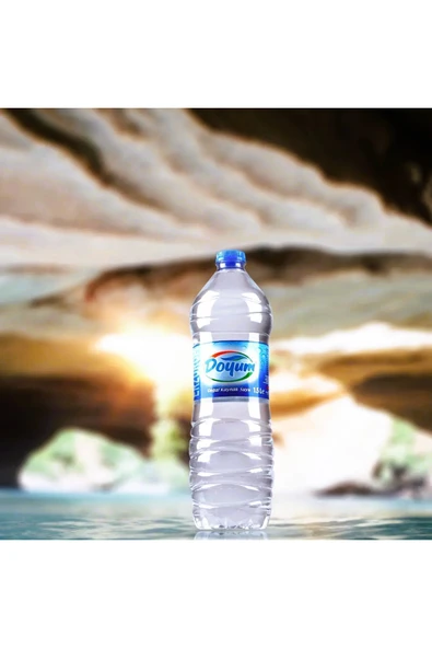 Erzurum İpekgurme Erzurum Doyum Su 0,5 L - 24'lü X 2 Koli (48 ŞİŞE) Ipkg 4739 ürün görseli 1