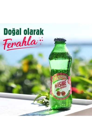 Beypazarı Doğal Maden Suyu Vişne Aromalı 200 Ml 24 Lü ürün görseli 1