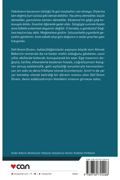 Deli İbrahim Divanı - Resim 4