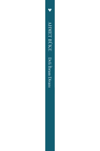 Deli İbrahim Divanı - Resim 3