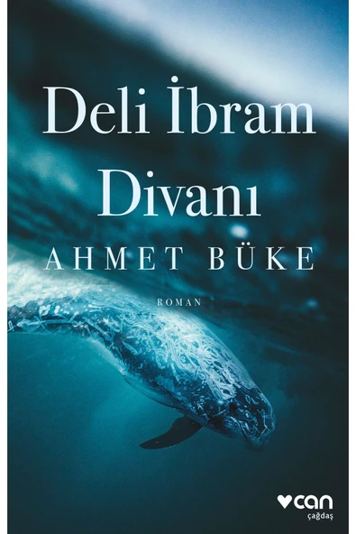 Deli İbrahim Divanı - Resim 2