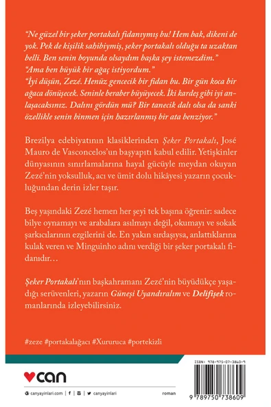 Şeker Portakalı - Resim 3
