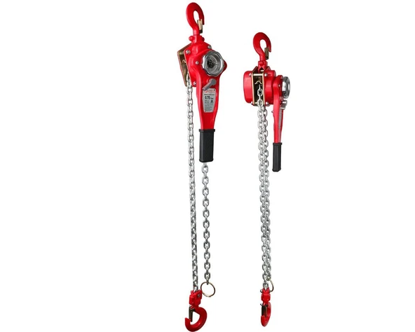RAYNO Hubzug 0.75 Ton 1.5mt RYN11068 ürün görseli 1