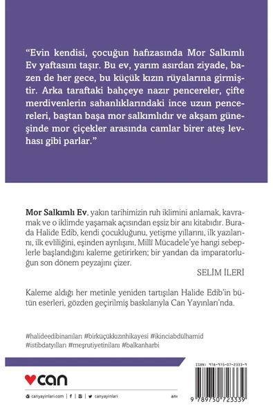 Mor Salkımlı Ev - Resim 3