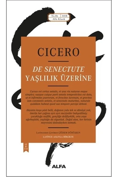 Yaşlılık Üzerine ürün görseli 1