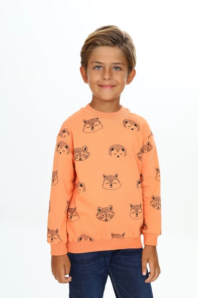 Toontoy Erkek Çocuk Relax Fit Kapüşonlu Cepli Hafif Düşük Omuz Nakışlı Sweatshirt ürün görseli 1
