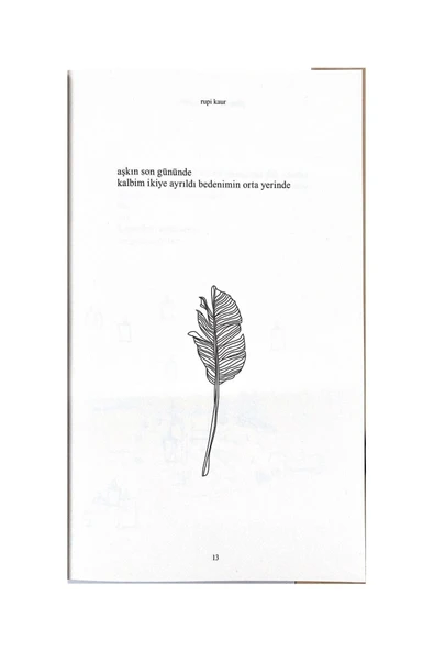 Güneş Ve Onun Çiçekleri - Resim 6