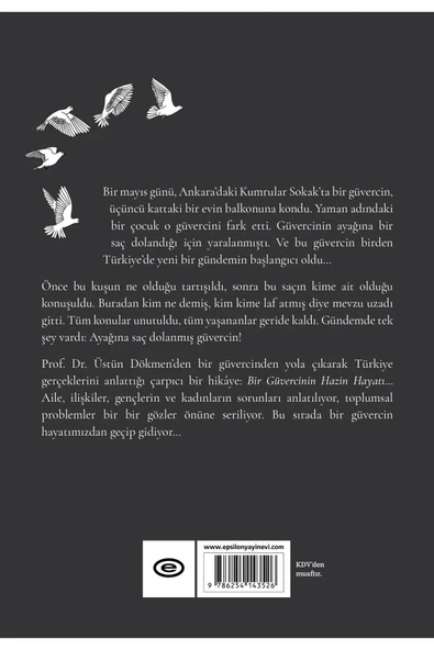Bir Güvercinin Hazin Hayatı - Resim 3