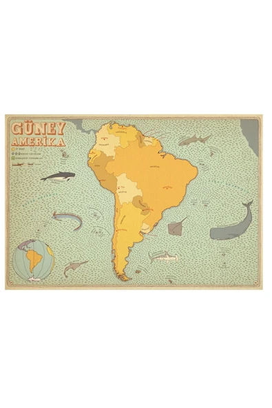 Atlas - Ciltli - Resim 5