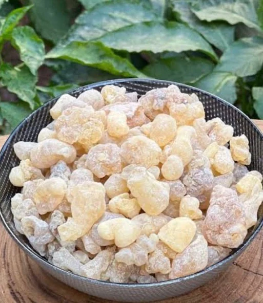 Akgünlük Sakızı 100 Gr ürün görseli 1