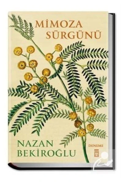 Mimoza Sürgünü ürün görseli 1