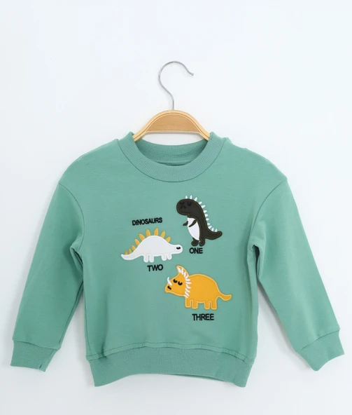 Toontoy Erkek Çocuk Relax Fit Bisiklet Yaka Hafif Düşük Omuz Nakışlı Sweatshirt ürün görseli 1