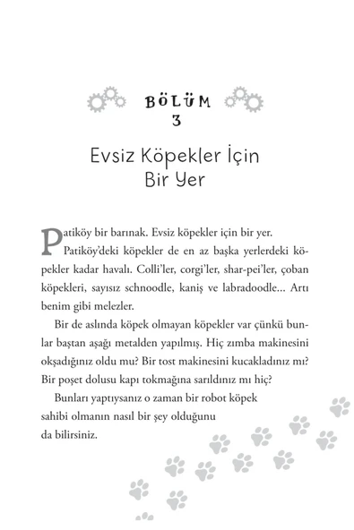 Patiköy - Resim 7