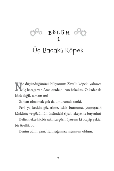 Patiköy - Resim 4