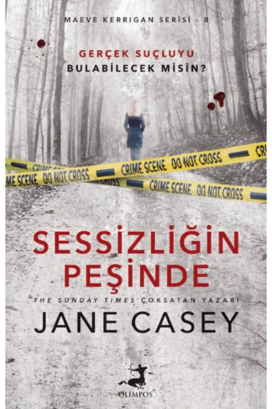 Sessizliğin Peşinde ürün görseli 1