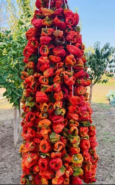 Antep Kuru Biber Dolmalık 1 Bağ 40-50 Tane Arası ürün görseli 1