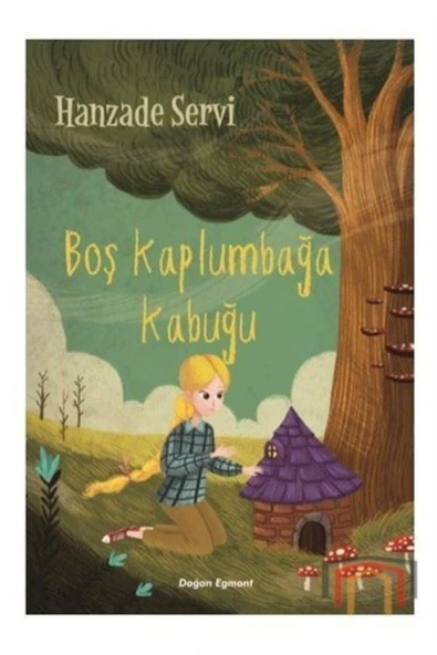 Boş Kaplumbağa Kabuğu - Resim 2