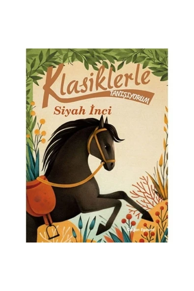 Klasiklerle Tanışıyorum - Siyah İnci ürün görseli 1