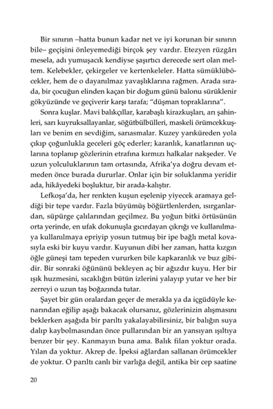 Kayıp Ağaçlar Adası - Resim 8