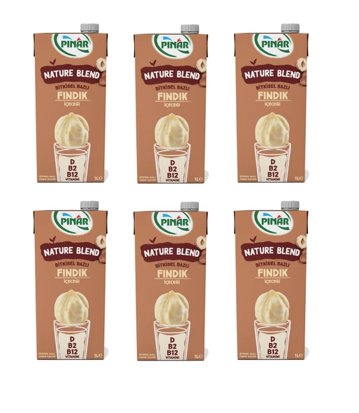 Pınar Nature Blend Bitkisel Bazlı Fındık İçeceği 1 Lt X 6 Adet ürün görseli 1