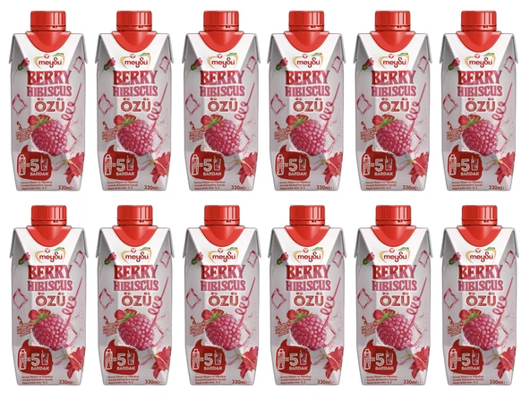 Meysu Berry Hıbıscus Özü 330 Ml X 12 Adet ürün görseli 1