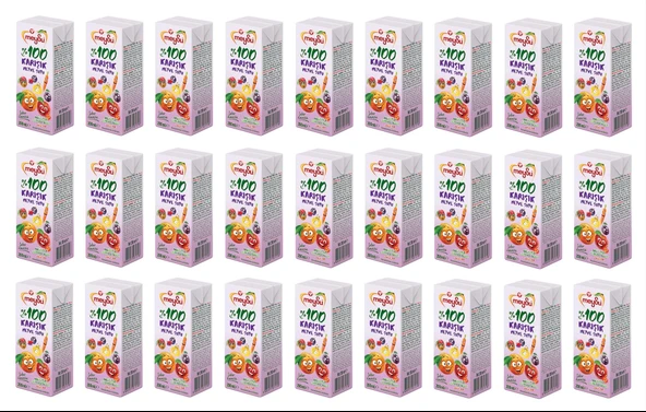 Meysu %100 Karışık Meyve Suyu 200 Ml X 27 Adet ürün görseli 1