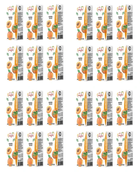 Meysu Kayısı Nektarı 200 Ml X 24 Adet ürün görseli 1