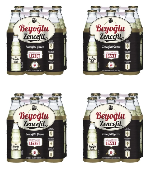 Beyoğlu Gazozu Zencefilli 250 Ml X 24 Adet ürün görseli 1