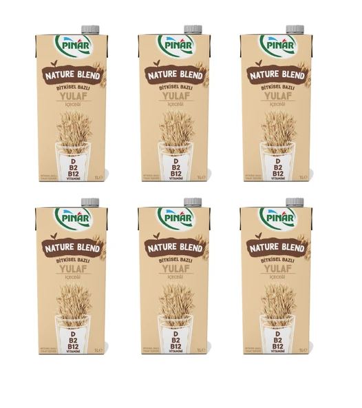 Pınar Nature Blend Bitkisel Bazlı Yulaf İçeceği 1 Lt X 6 Adet ürün görseli 1