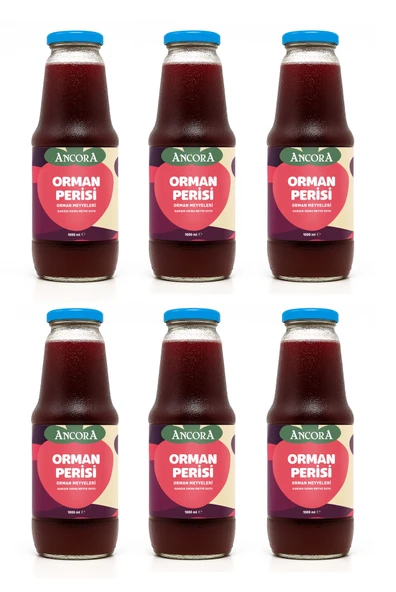 Ancora Orman Perisi Karışık Meyve Suyu 1 Lt X 6 Adet ürün görseli 1