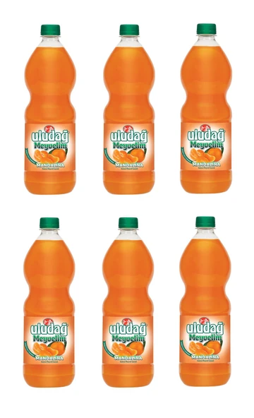 Uludağ Meyvelim Mandalina 1 Lt X 6 Adet ürün görseli 1