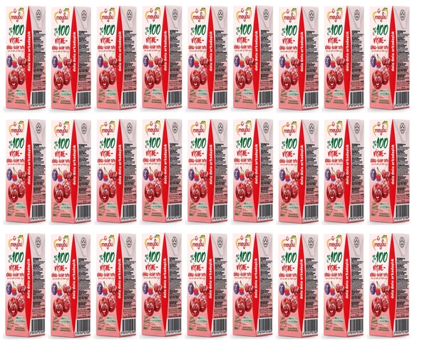 Meysu %100 Vişne Kiraz Üzüm Suyu 200 Ml X 27 Adet ürün görseli 1