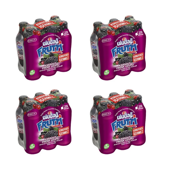 Uludağ Frutti Karadut & Frenk Üzümü Aromalı Maden Suyu 200 Ml X 24 Adet ürün görseli 1