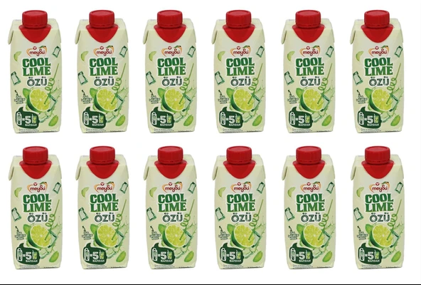 Meysu Cool Lime Özü 330 Ml X 12 Adet ürün görseli 1