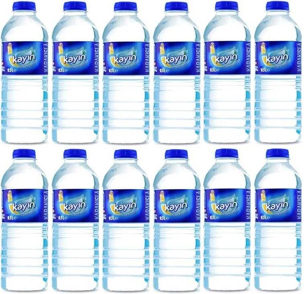 Kayın Doğal Kaynak Suyu 500 Ml X 12 Adet ürün görseli 1