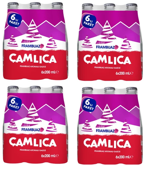 Çamlıca Frambuaz Aromalı Gazoz 200 Ml X 24 Adet ürün görseli 1