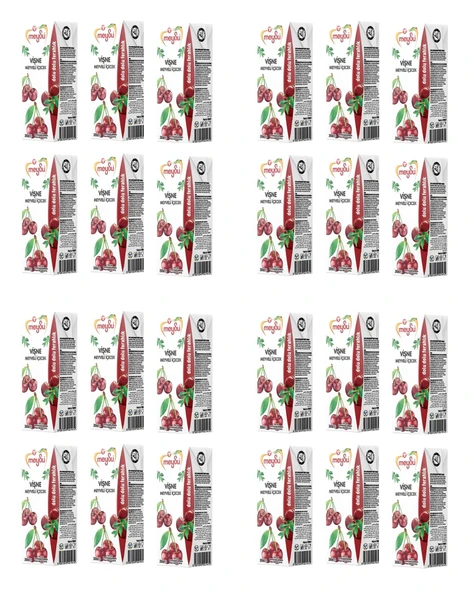 Meysu Vişne Meyveli İçecek 200 Ml X 24 Adet ürün görseli 1