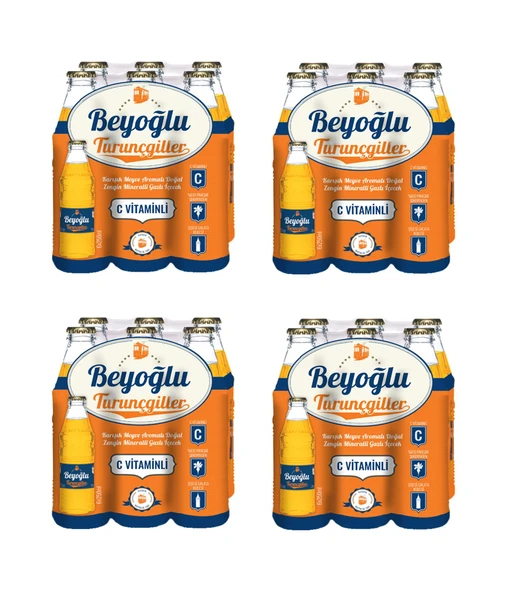 Beyoğlu Gazozu Turunçgiller Karışık Meyve Aromalı Gazlı İçecek 250 Ml X 24 Adet ürün görseli 1