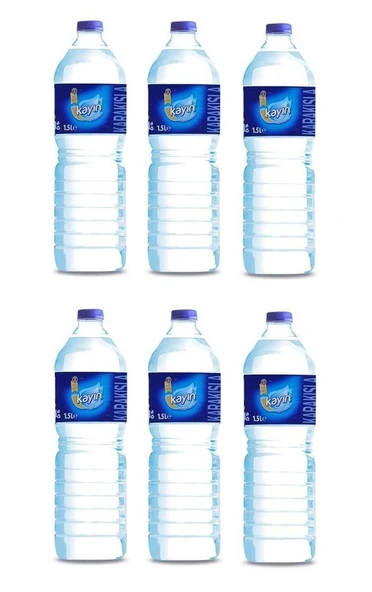 Kayın Doğal Kaynak Suyu 1,5 Lt X 6 Adet ürün görseli 1