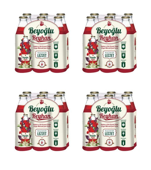 Beyoğlu Gazozu Reyhan Ve Gül Aromalı Gazlı İçecek 250 Ml X 24 Adet ürün görseli 1