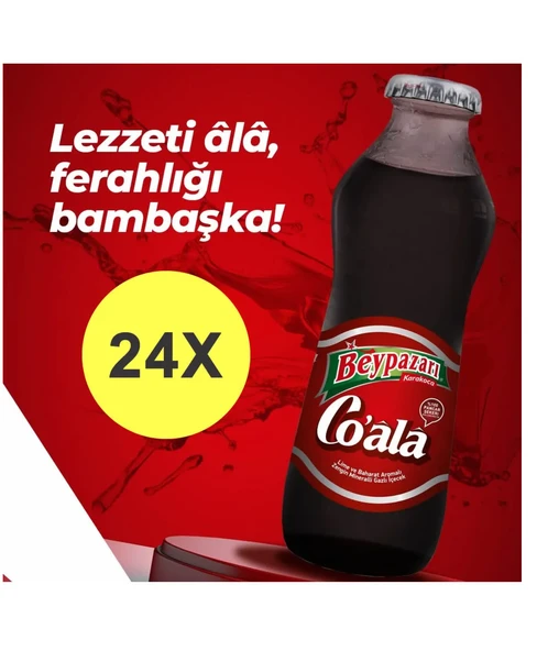 Beypazarı Co Ala Lime Ve Baharat Aromalı Maden Suyu 200 Ml X 24 Adet ürün görseli 1