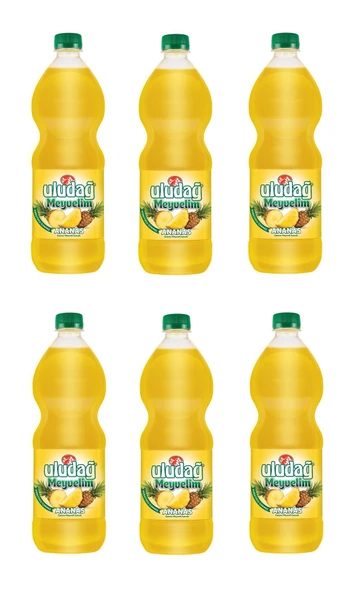 Uludağ Meyvelim Ananas 1 Lt X 6 Adet ürün görseli 1