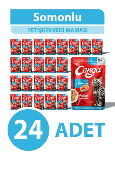 Cango Yaş Yetişkin Kedi Maması Somonlu 80 GR 24 Adet ürün görseli 1