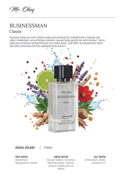 Mr. Okay Businessman Classic 50 ML - Resim 11