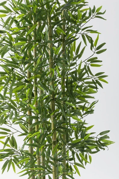 Yapay Bambu Ağacı 190 cm - Resim 4
