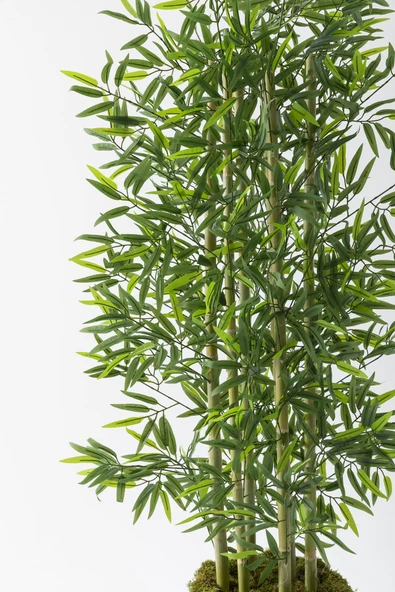 Yapay Bambu Ağacı 190 cm - Resim 3
